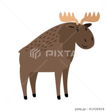 Moose. Cute vector elk with large horns on white, vector single antlered moose 61436928