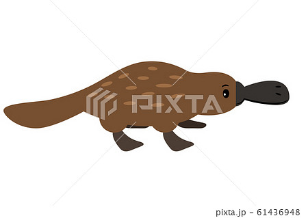 Duckbill cartoon animal 61436948