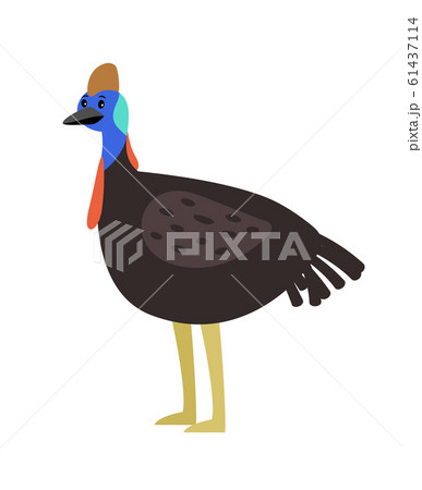 Cassowary cute cartoon bird 61437114