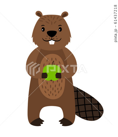Beaver. Vector cartoon beaver character isolatedのイラスト素材 [61437218] - PIXTA