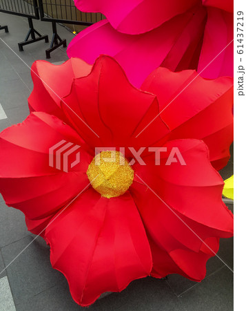 Large flowers represent the celebration of important festivals. 61437219