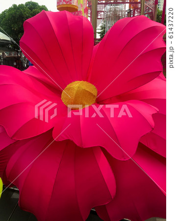 Large flowers represent the celebration of important festivals. 61437220