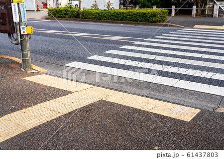 点字ブロック 横断歩道の写真素材