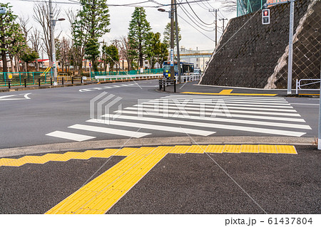 点字ブロック　横断歩道 61437804
