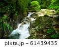 西沢渓谷（夏） 61439435