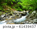 西沢渓谷（夏） 61439437