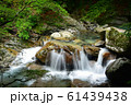 西沢渓谷（夏） 61439438