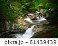 西沢渓谷（夏） 61439439