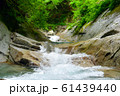 西沢渓谷（夏） 61439440