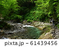 西沢渓谷（夏） 61439456