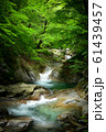 西沢渓谷（夏） 61439457