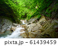 西沢渓谷（夏） 61439459