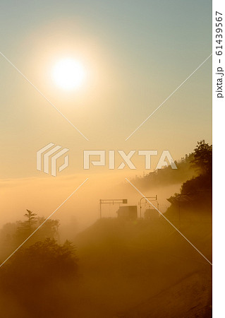 日本・7月の北海道　日勝峠、夜明けの雲海 61439567