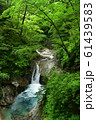 西沢渓谷　貞泉の滝 61439583
