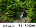 西沢渓谷　竜神の滝 61439609
