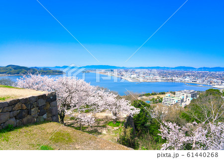 桜と米子城跡からの眺望　米子港周辺 61440268