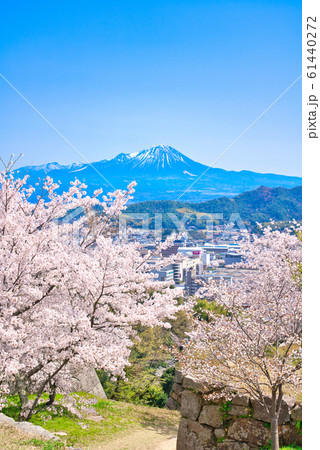 米子城跡の桜と大山 61440272