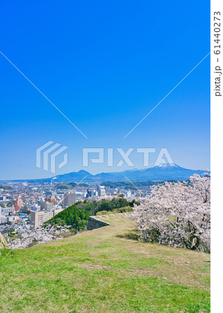 米子城跡の桜と大山 61440273