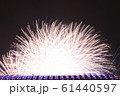 Fireworks Star 61440597