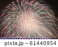 Bursts of Fireworks 61440954
