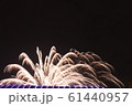Fireworks 61440957
