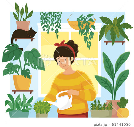 Home garden. Young woman watering plants in flower pots indoors. 61441050