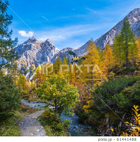 Autumn alpine stream view from mountain hiking 61441488