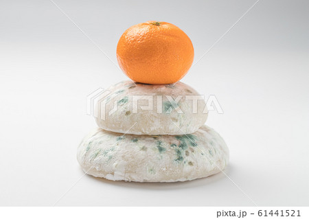 鏡餅のカビ 61441521