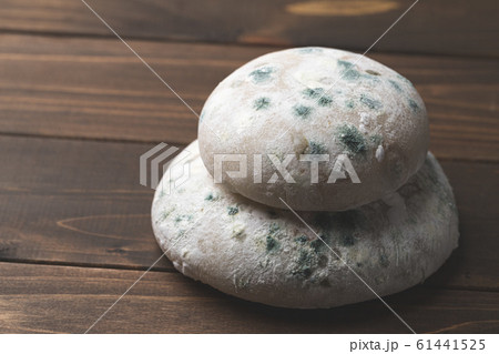 mochiページ Mochi blue mold - Stock Photo [61441525] - PIXTA