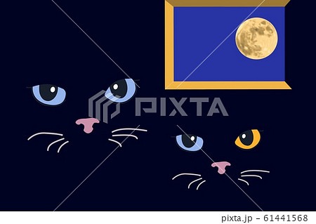 月夜の猫イラストのイラスト素材 [61441568] - PIXTA