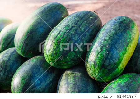 Sweet watermelon, a large number of large green Sweet watermelon, a large number of large green 61441837
