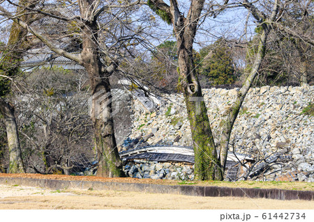 平成28(2016)年の熊本地震による熊本城被災 平成28(2016)年の熊本地震による熊本城被災 61442734
