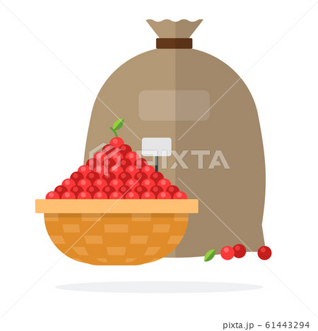 Wicker basket of cherry and Linen bag flat isolated 61443294