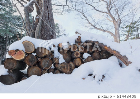 雪が積もる薪 雪が積もる薪 61443409