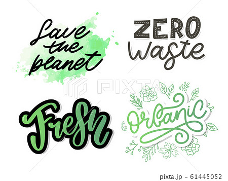 Zero waste. Lettering Text Eco green illustration. 61445052
