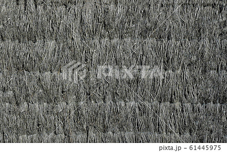 The wall of the old house is fortified with dry grass of gray color .Texture or background. 61445975