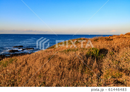 黒崎の鼻（冬） 61446483