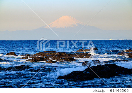 黒崎の鼻（冬） 61446506