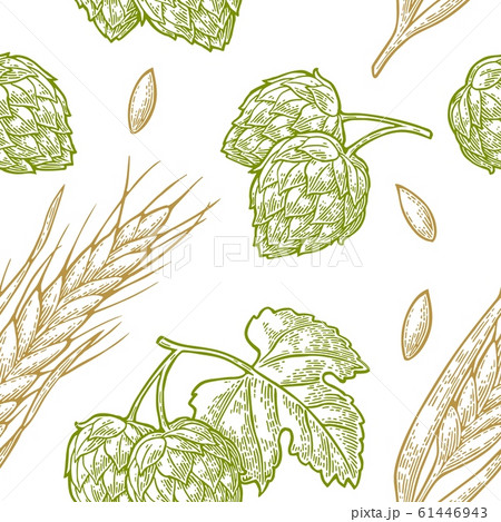 Seamless pattern from hop with leaf and Ear of Seamless pattern from hop with leaf and Ear of 61446943