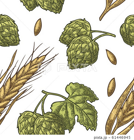 Seamless Pattern From Hop With Leaf And Ear Ofのイラスト素材
