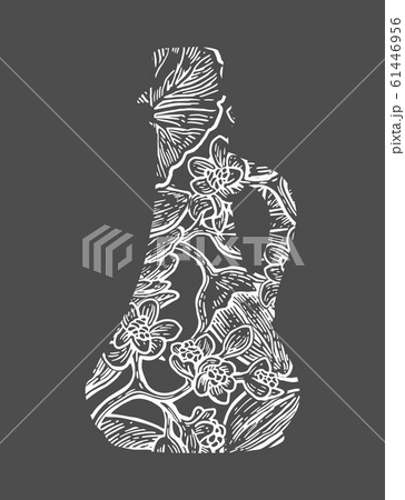Jojoba fruit with glass jar. Hand drawn vector 61446956