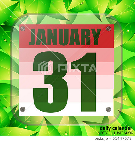 January 31 icon. For planning important day. Banner for holidays with green leaves. Thirty first of January. January 31 icon. For planning important day. Banner for holidays with green leaves. Thirty first of January. 61447675