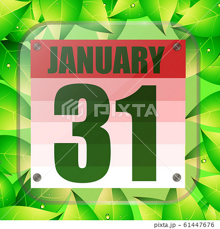 January 31 icon. For planning important day. Banner for holidays with green leaves. Thirty first of January. January 31 icon. For planning important day. Banner for holidays with green leaves. Thirty first of January. 61447676