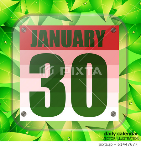 January 30 icon. For planning important day. Banner for holidays with green leaves. Thirtieth January icon. 61447677