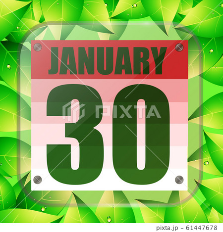 January 30 icon. For planning important day. Banner for holidays with green leaves. Thirtieth January icon. 61447678