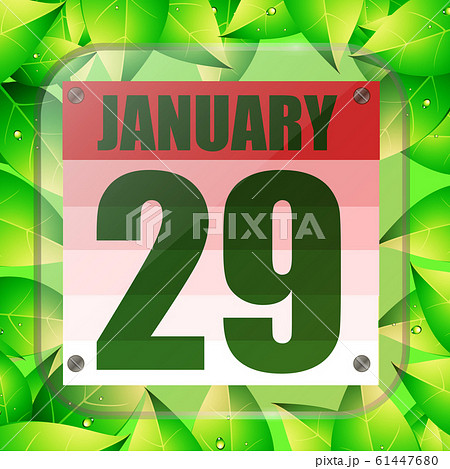 January 29 icon. For planning important day. Banner for holidays with green leaves. Twenty-ninth of January icon. January 29 icon. For planning important day. Banner for holidays with green leaves. Twenty-ninth of January icon. 61447680