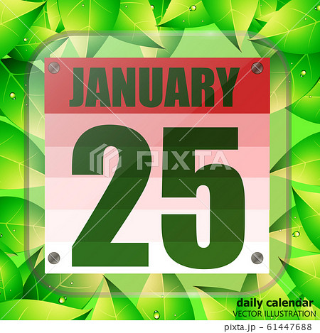 January 25 icon. For planning important day with green leaves. Twenty-fifth of January icon. Illustration. January 25 icon. For planning important day with green leaves. Twenty-fifth of January icon. Illustration. 61447688