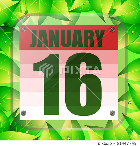 January 16 icon. For planning important day with green leaves. Sixteenth of January icon. Illustration. January 16 icon. For planning important day with green leaves. Sixteenth of January icon. Illustration. 61447748