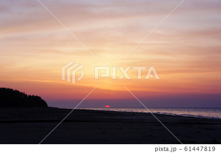 鉢ケ崎海岸海岸  Hachigasaki seaside 61447819