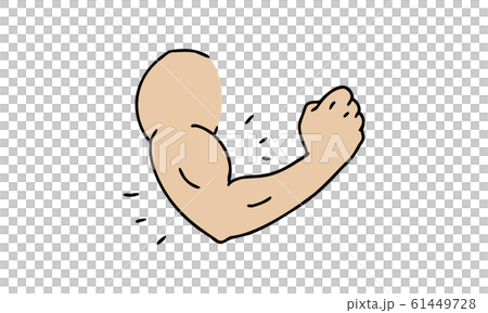 Body Arms Biceps Stock Illustration